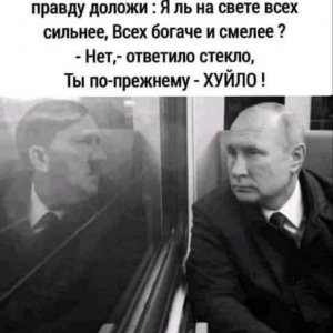 Путин - Гитлер.jpg