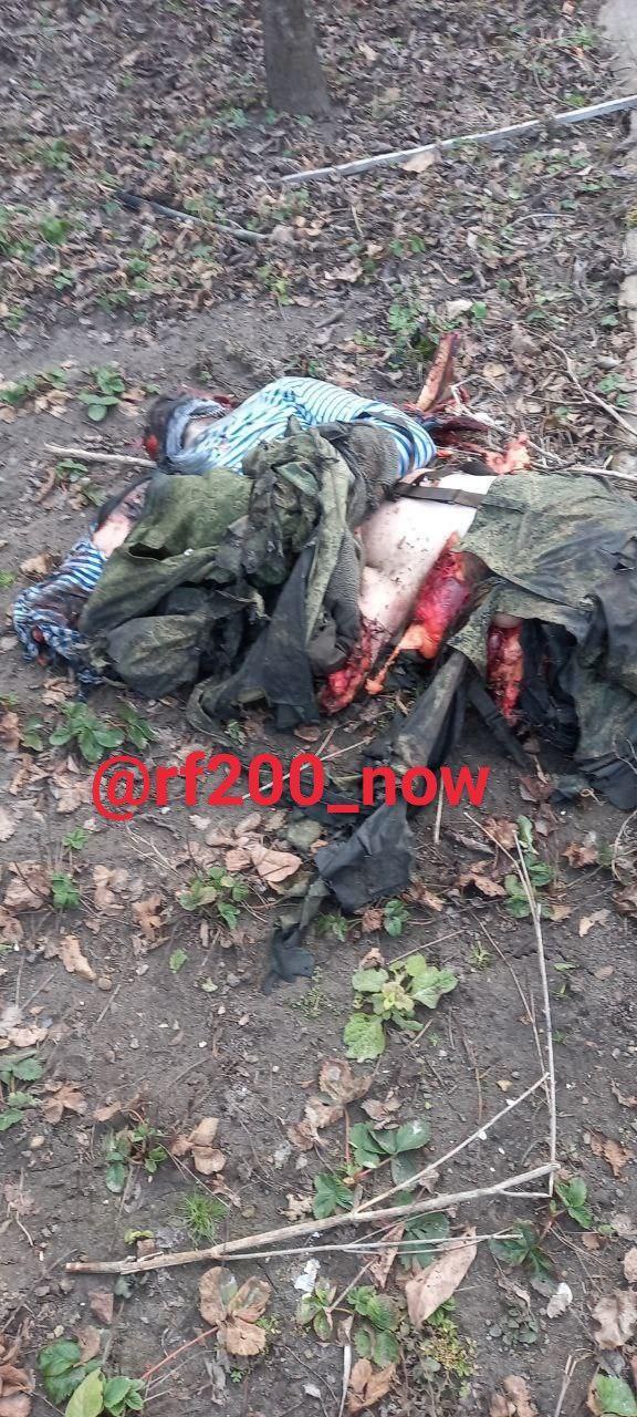 photo_2022-03-27_17-46-13 (3).jpg