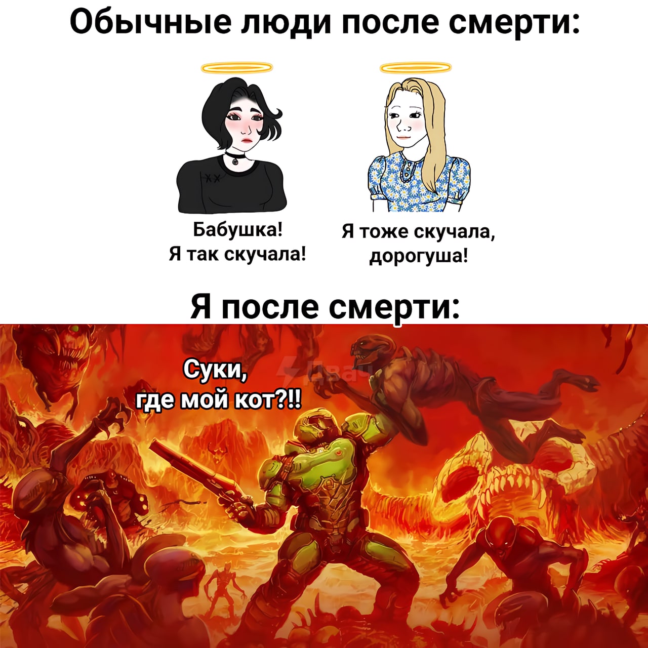 за котиков и украинцев ;)