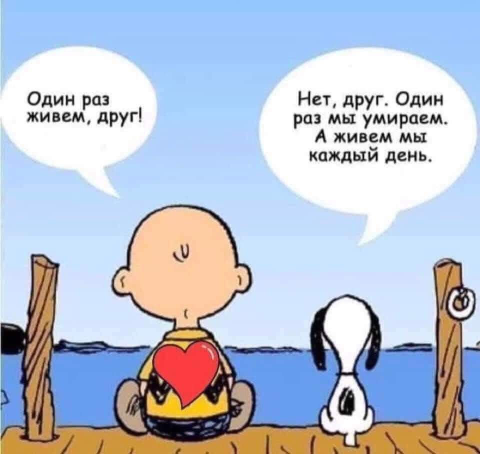 Жизнь одна.jpg